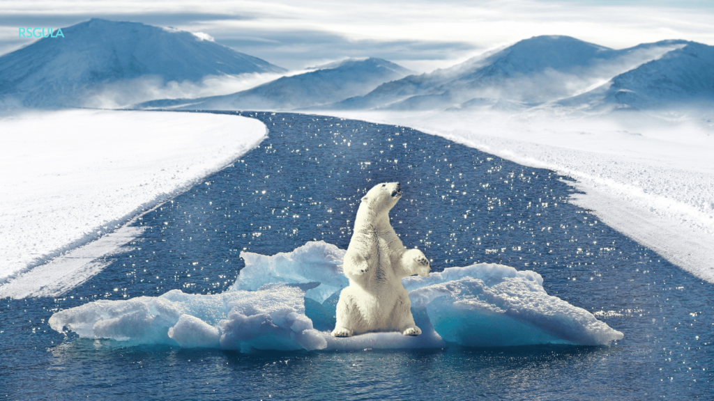 Climate change