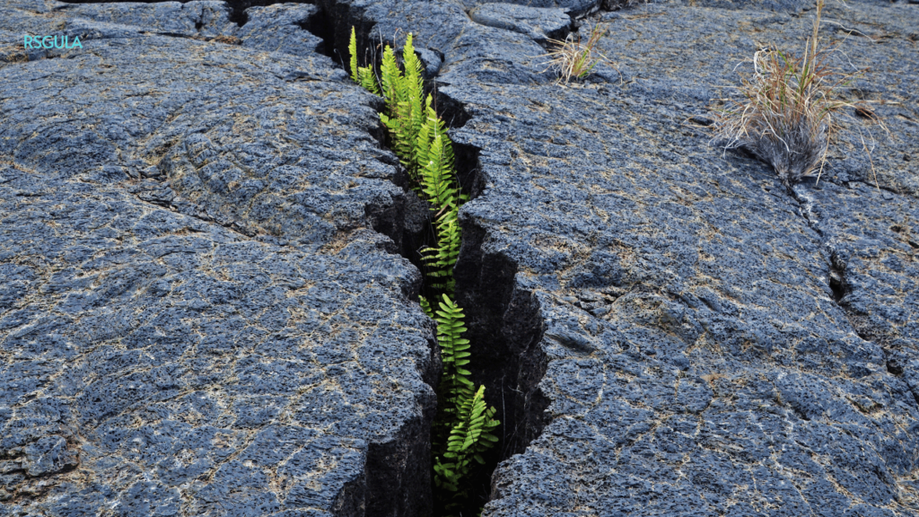 Climate Change and Global Economic Impacts